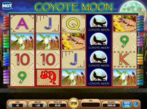  coyote moon slots/irm/exterieur